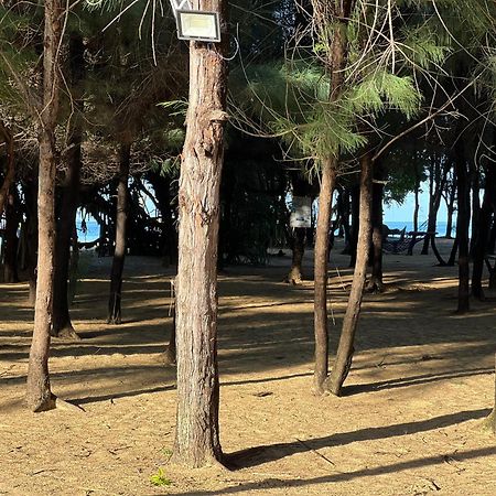 Omeesha Beach Hotel Kalpitiya Kültér fotó