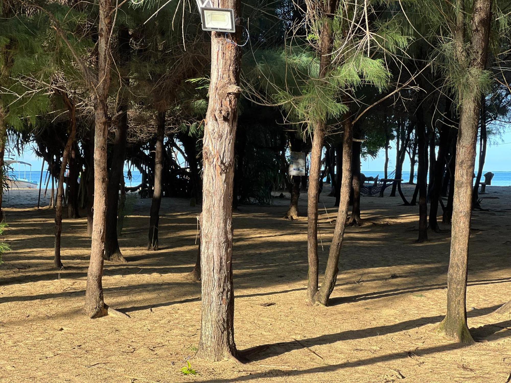 Omeesha Beach Hotel Kalpitiya Kültér fotó