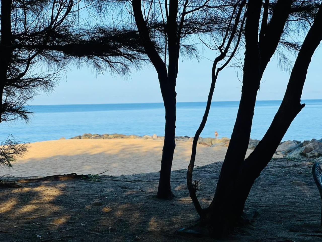 Omeesha Beach Hotel Kalpitiya Kültér fotó